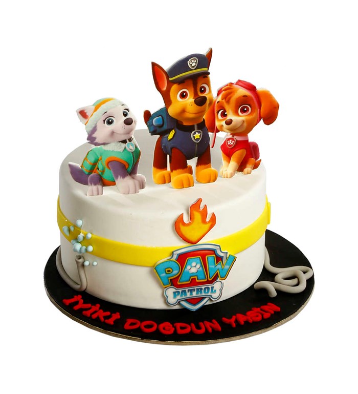 Paw Patrol Çocuk Pasta 